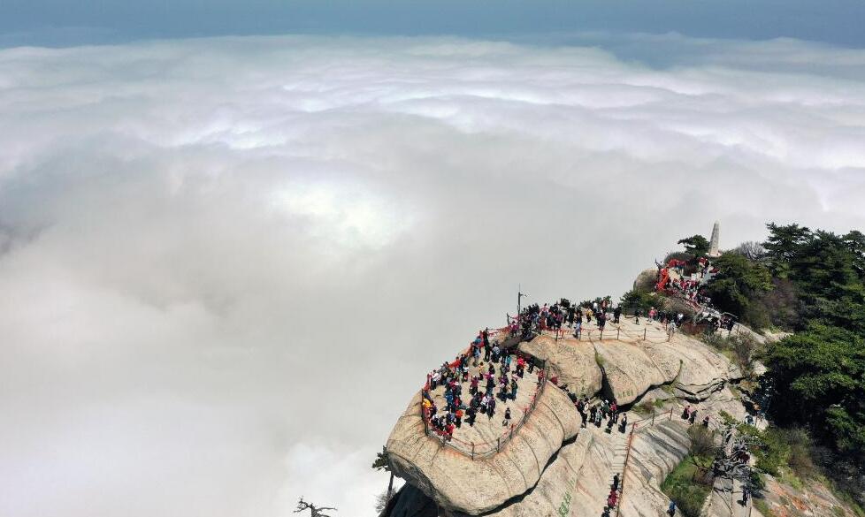 西岳華山：壯麗云海入畫來